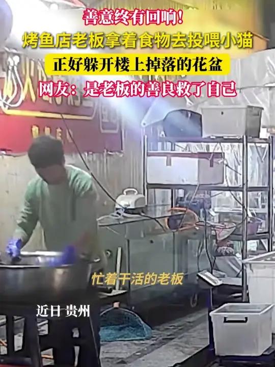 善意终有回响!烤鱼店老板拿着食物去投喂小猫,正好躲开楼上掉落的花盆,网友:是老板的善良救了