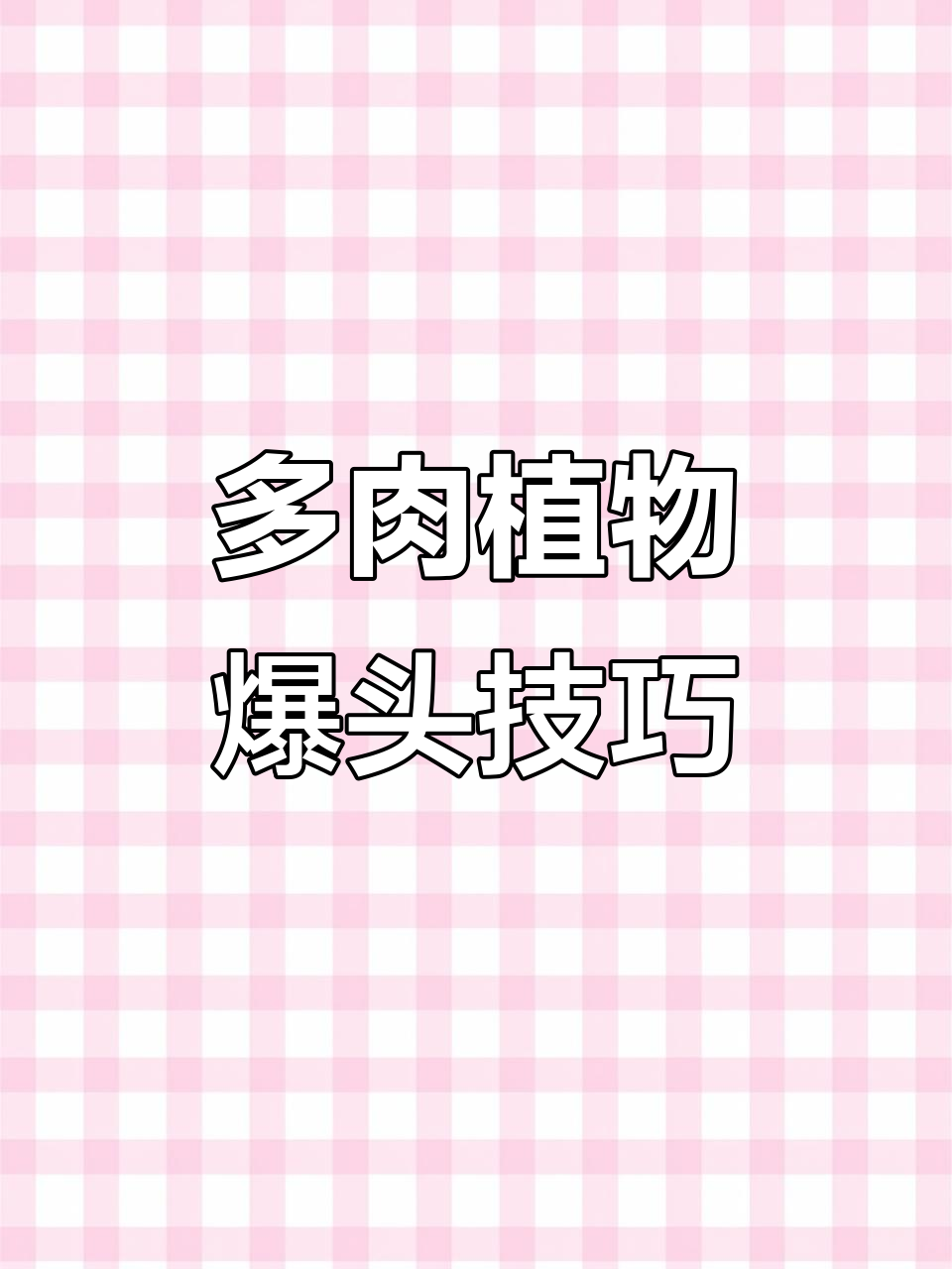 如何让多肉植物爆头，打造独特手捧花造型