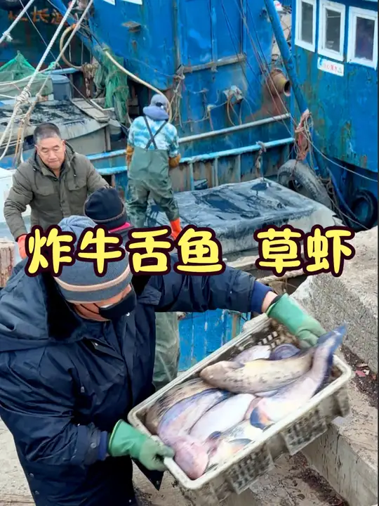 海岛农村生活:渔港挑牛舌鱼草虾,回家做老板鱼豆腐