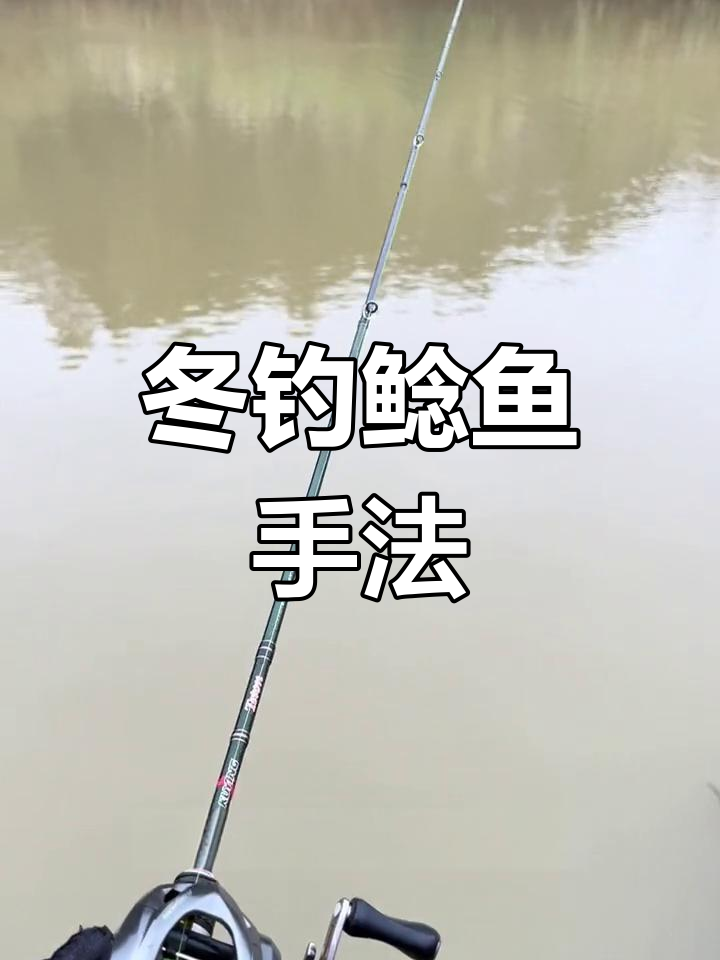 冬季钓鲶鱼技巧大揭秘