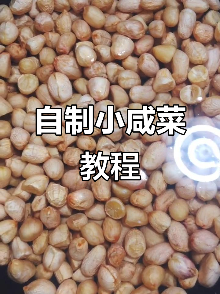 快手小咸菜,萝卜干、花生炖出美味家常味