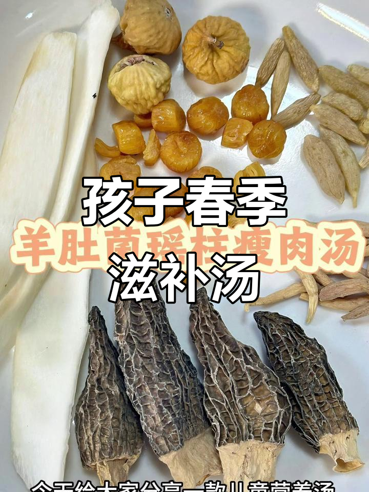 春季孩子成长黄金期，羊肚菌汤助力营养满满！