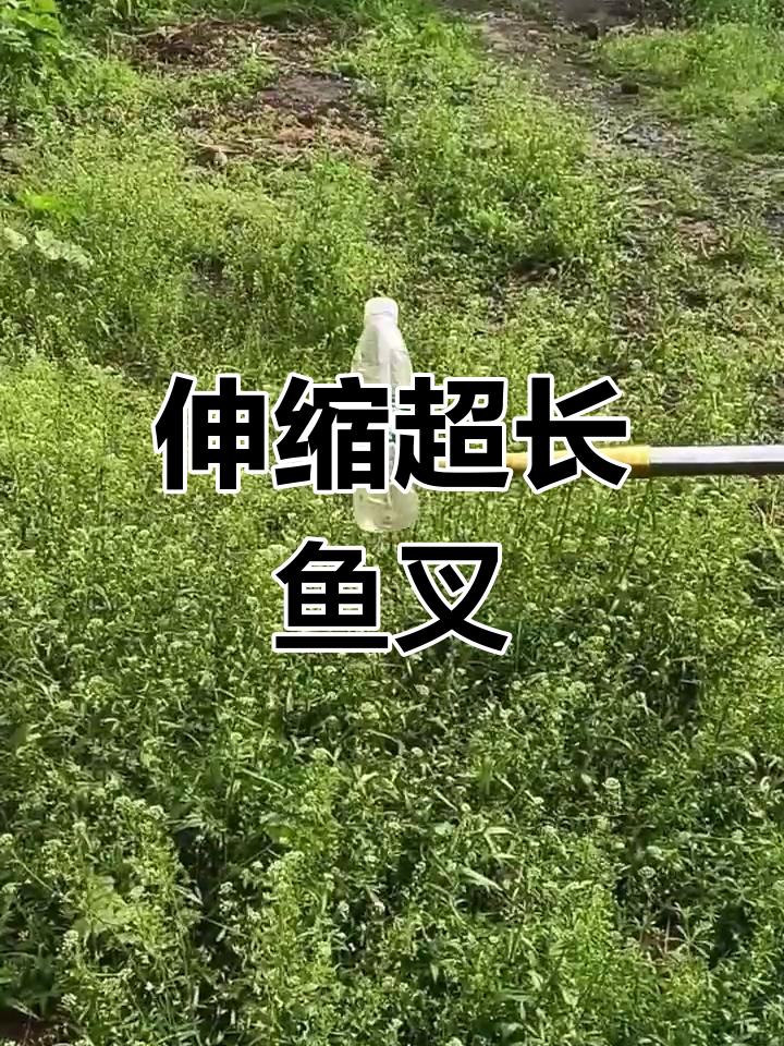 超长6米伸缩鱼叉,轻松抓鱼又清理水草