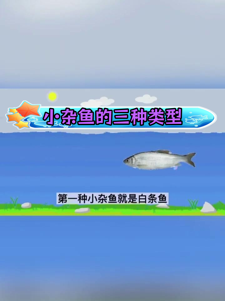 常见小杂鱼种类解析