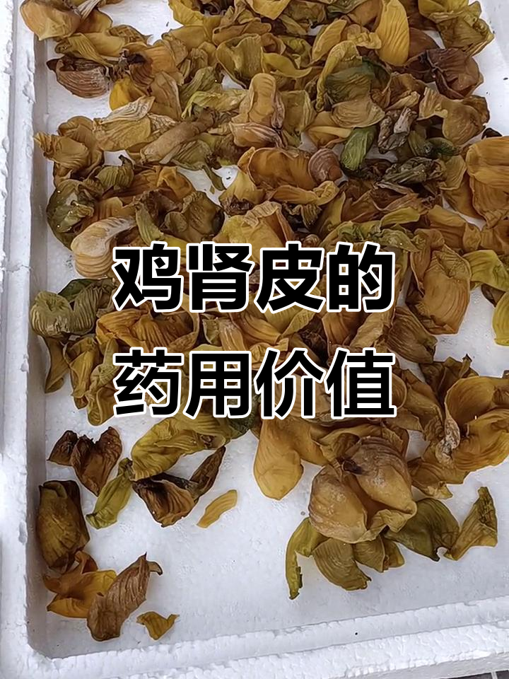 鸡肾皮竟能入药,原来它就是“鸡内金”