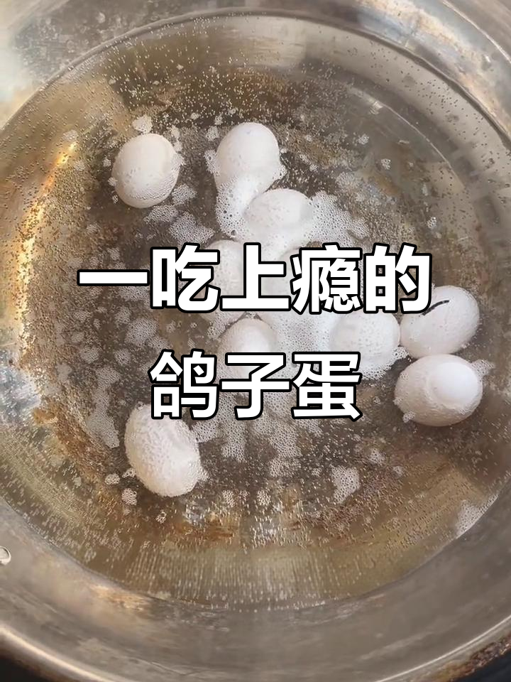 鸽子蛋煮一煮，吃上一口停不下来！