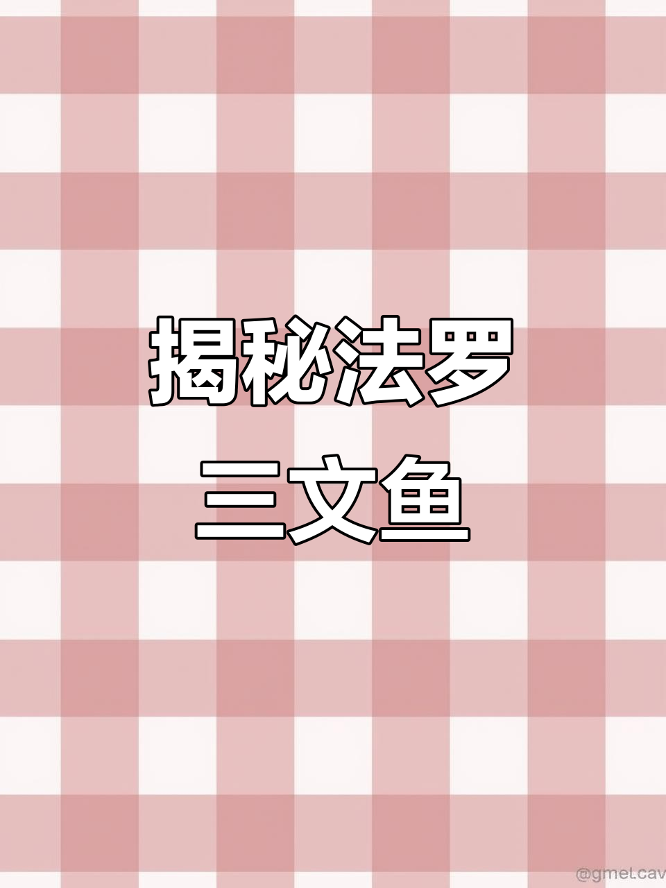 法罗三文鱼的真相：丹麦皇冠与美威的养殖故事