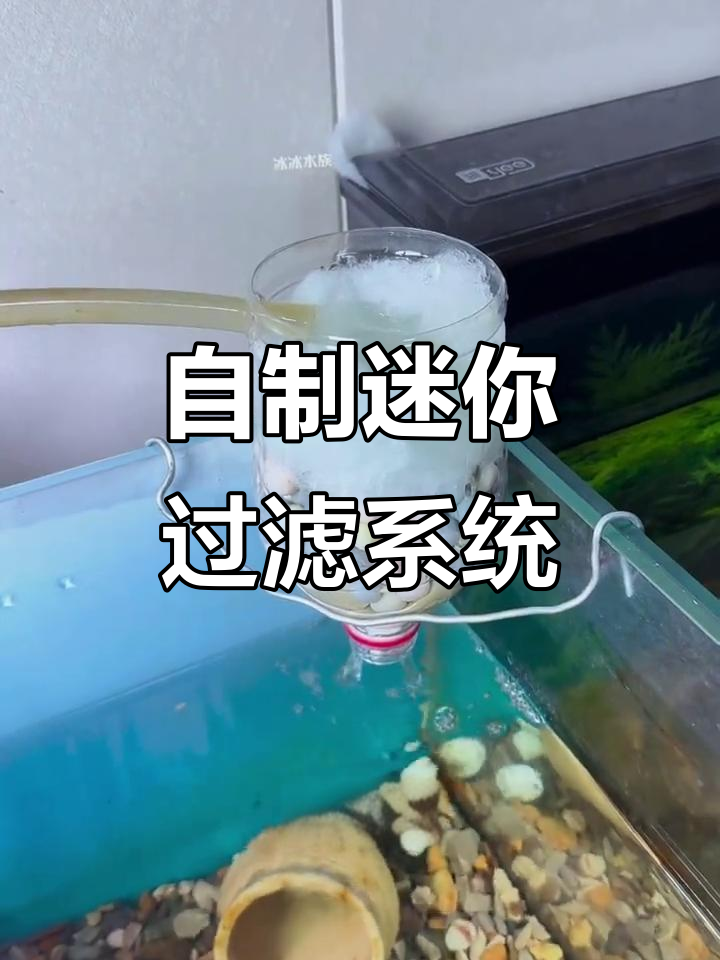 废料变宝贝，DIY鱼缸过滤器教程