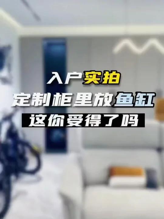 定制柜里放鱼缸 鱼缸柜一体式设计