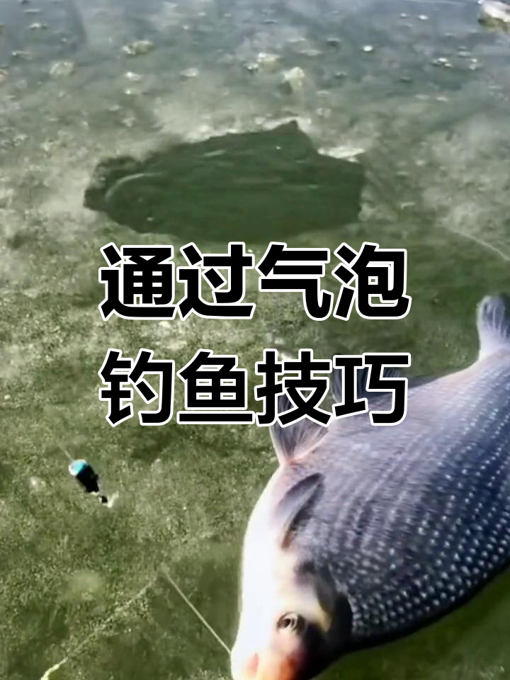 冰钓时如何通过气泡找鱼