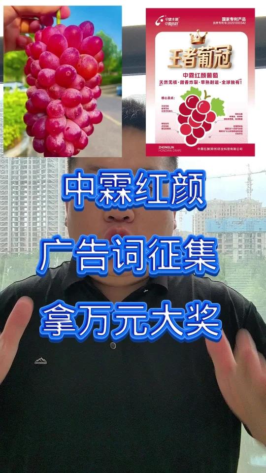 中霖红颜广告词征集令,留下你的评论,你就是那个幸运儿 葡萄种植 中霖红颜 葡萄种植技术