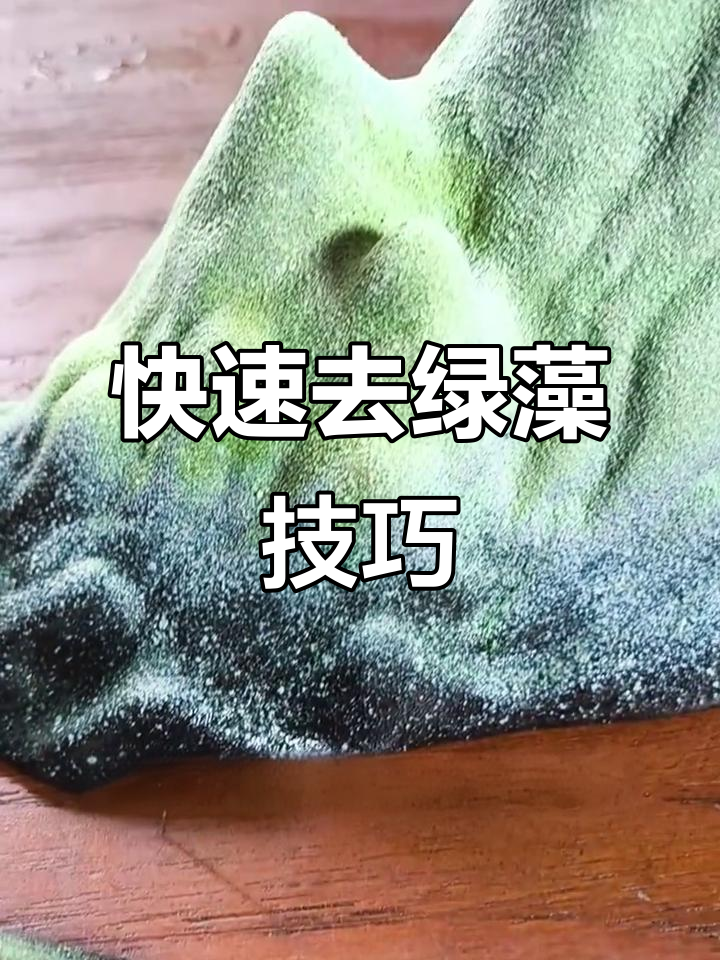鱼缸绿藻清理妙招,几小时恢复原样