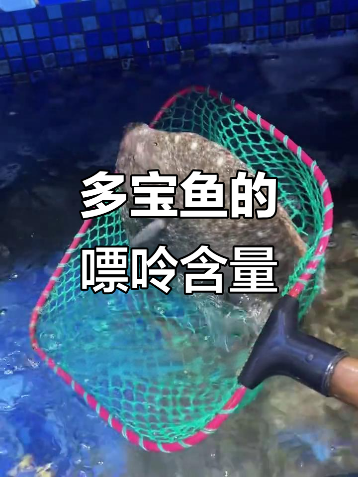 多宝鱼嘌呤含量不高,放心吃!