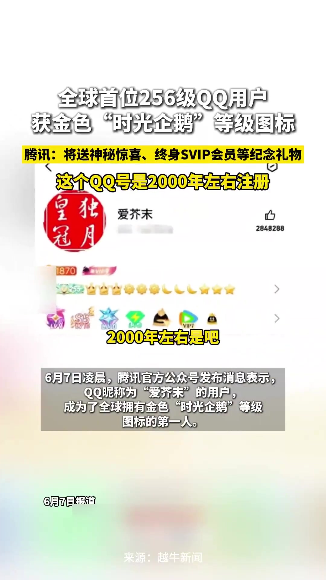 全球首位256级QQ用户获金色“时光企鹅”等级图标,腾讯:将赠送纪念礼物