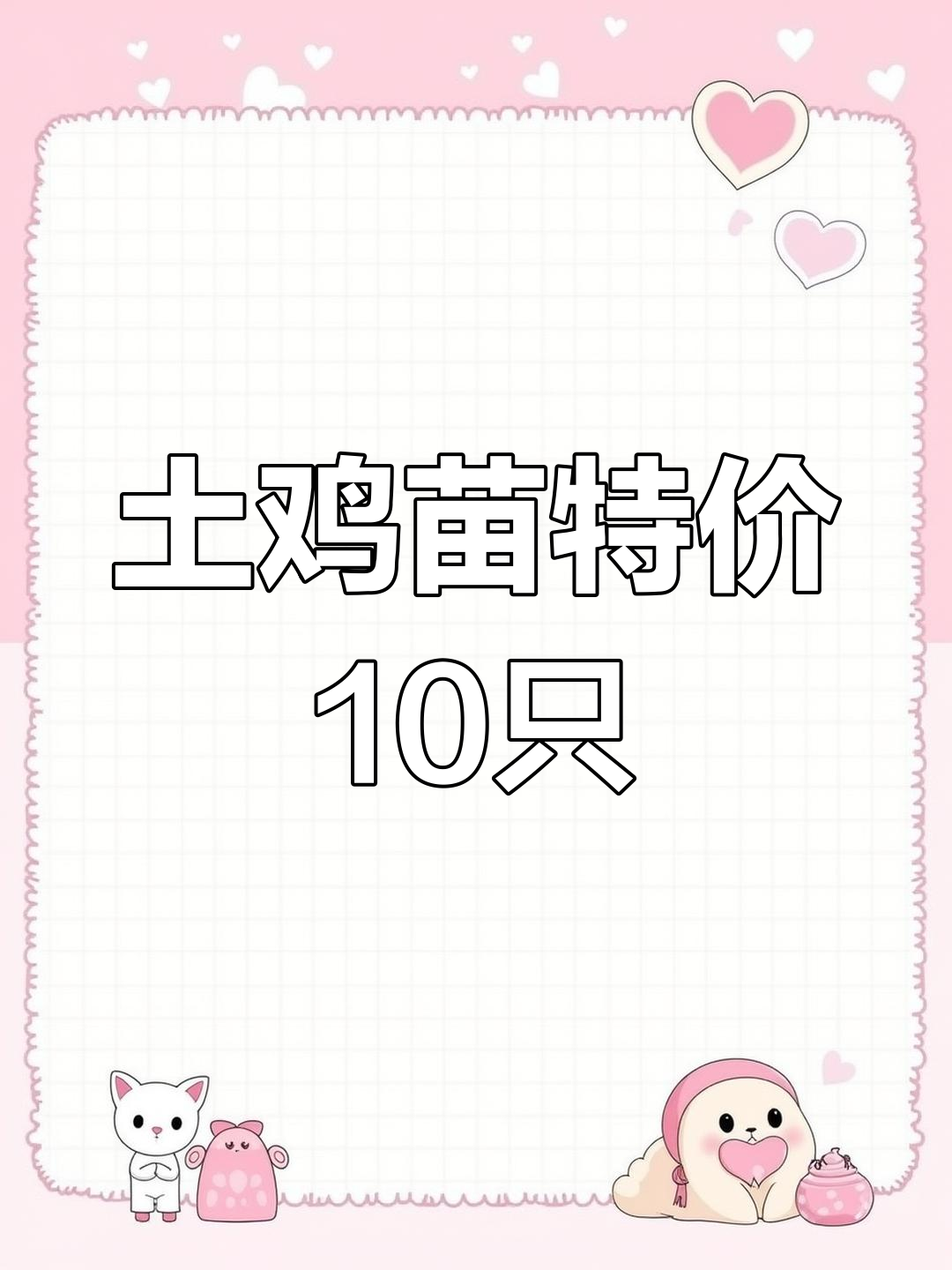 正宗土鸡苗10元一只,疫苗齐全健康保障