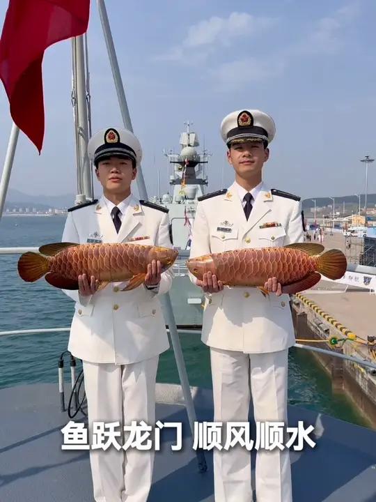 这“鲤鱼”怎么卖的?仔细一看,竟然是会游的仿生鱼!祝屏幕前的你,鱼跃龙门,顺风顺水!#新华