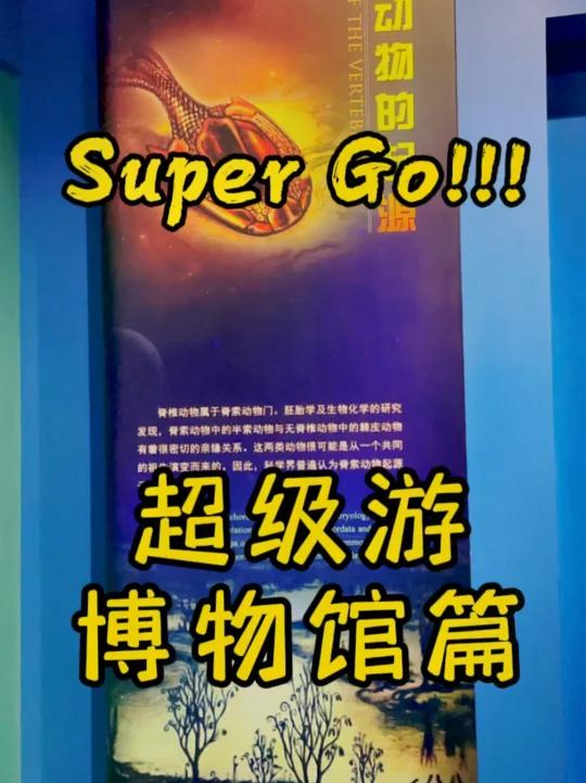 博物馆里,有没有看到小龙虾?