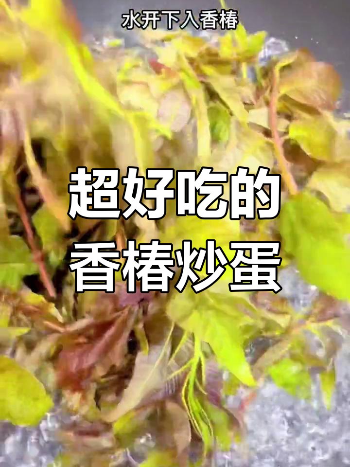 香椿炒鸡蛋,汤汁满满,味道超赞!