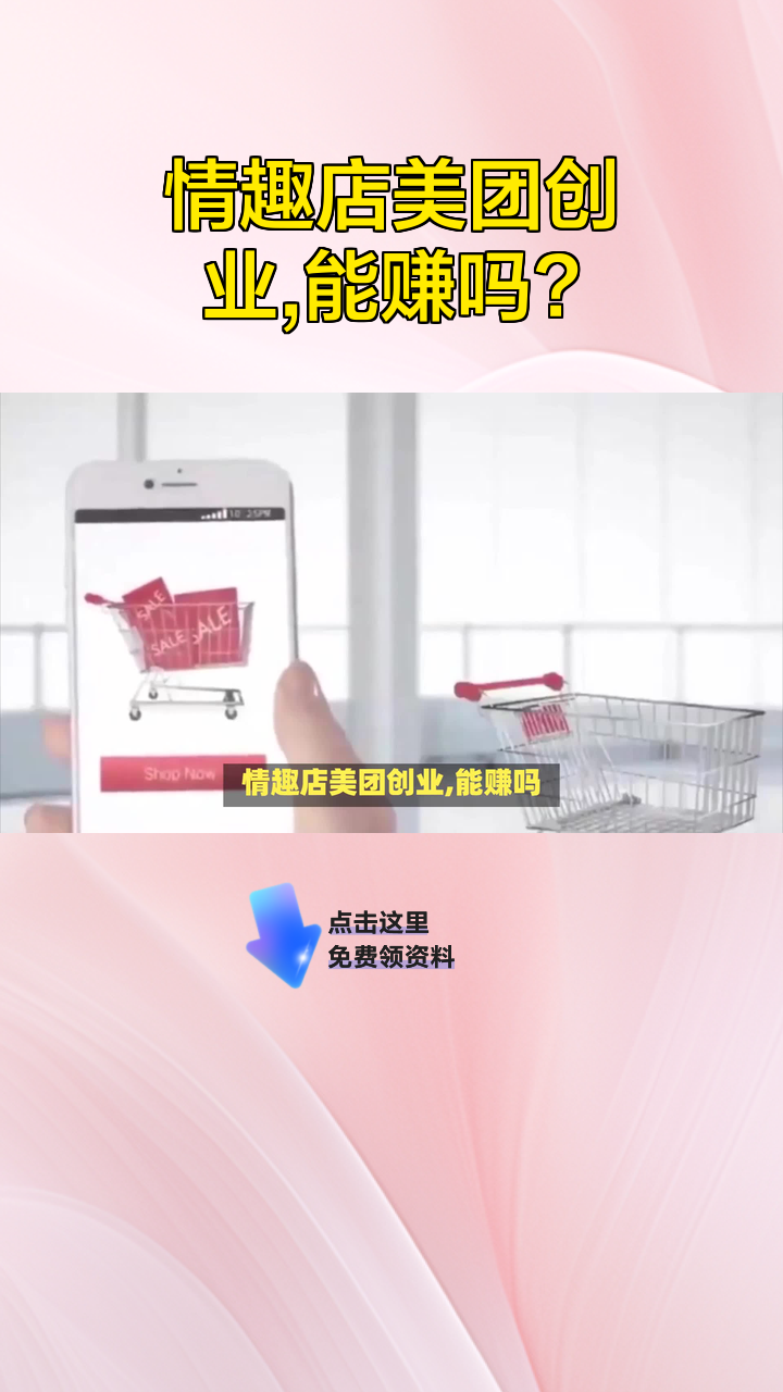 情趣店美团创业,能赚吗?
