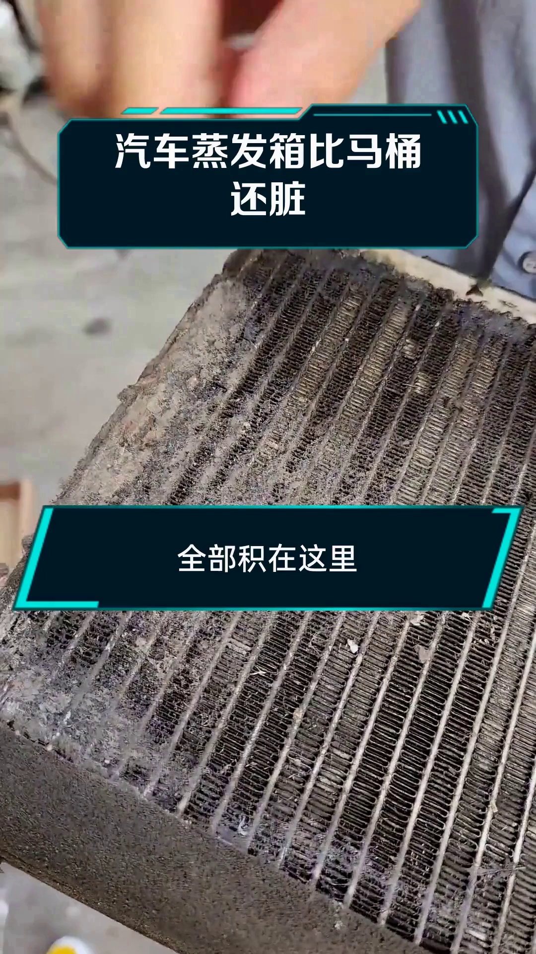 汽车蒸发箱比马桶还脏