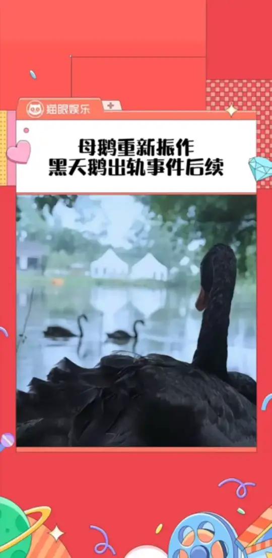 母鹅这次真的是女王 敢爱敢恨拿得起放得下！