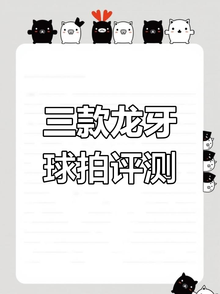 龙牙球拍参数对比,选择最适合你的打法