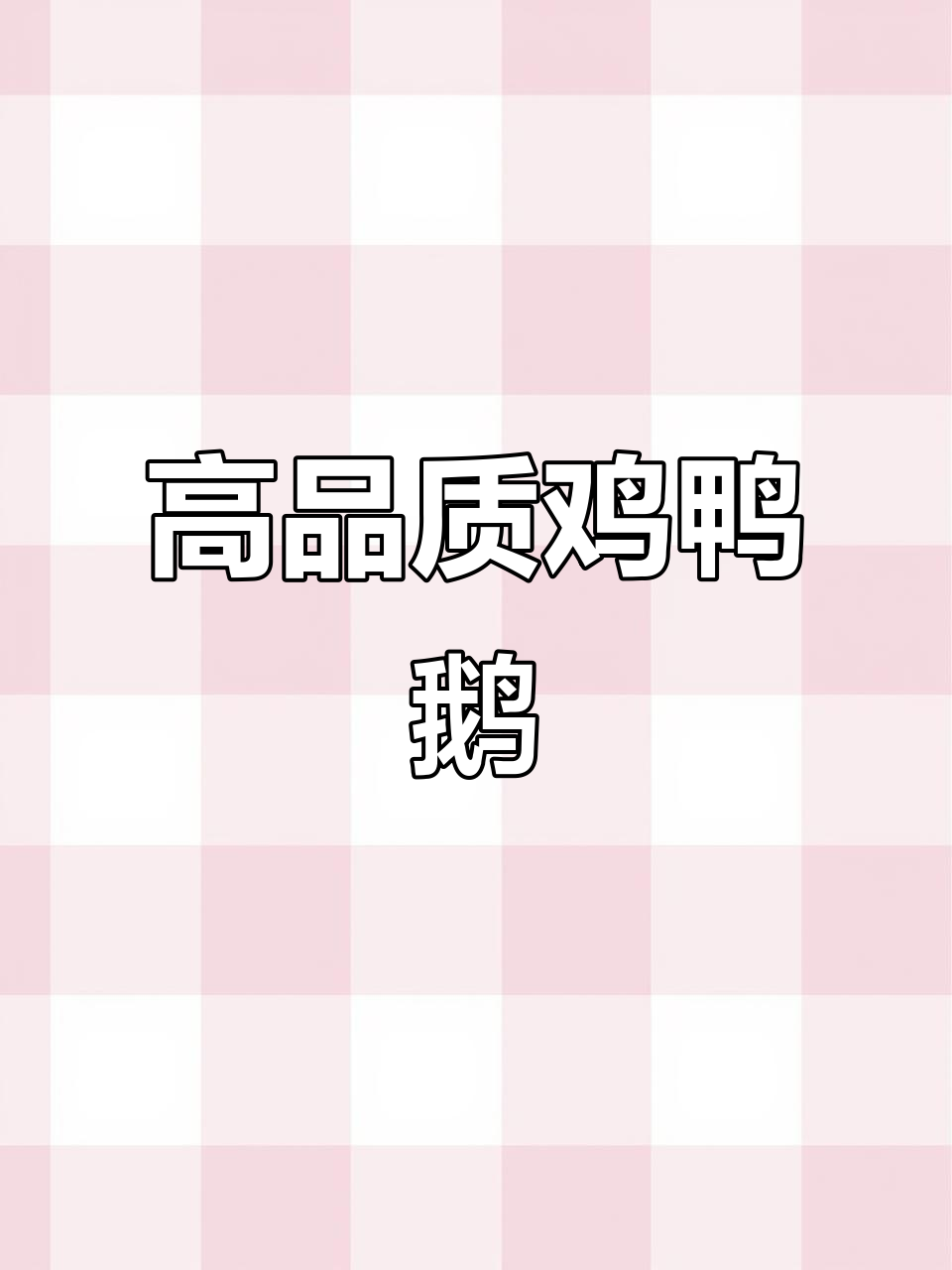 昆明禽业:专注高品质鸡鸭鹅,打造优质鸡苗
