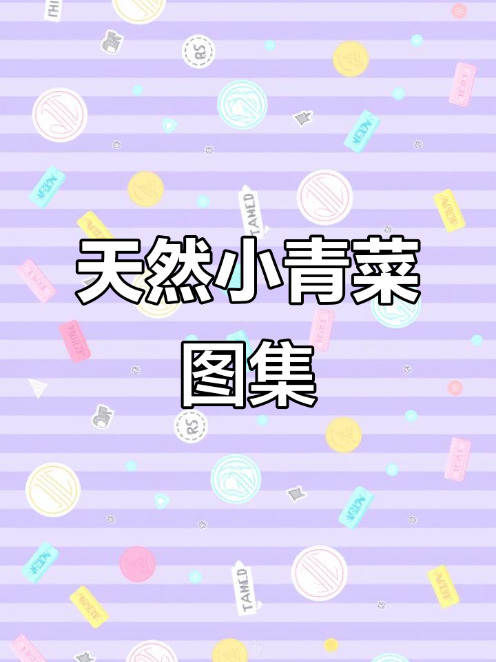 小青菜的美丽瞬间,自然蔬菜图片大赏