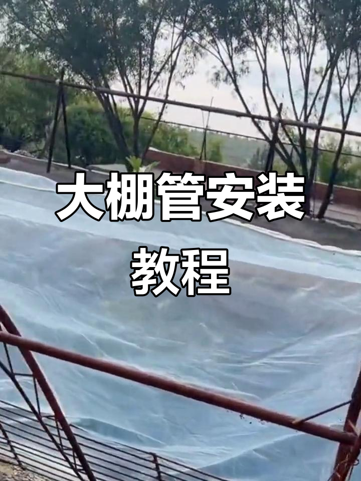 竹舍大棚搭建技巧,如何轻松换料与调整结构