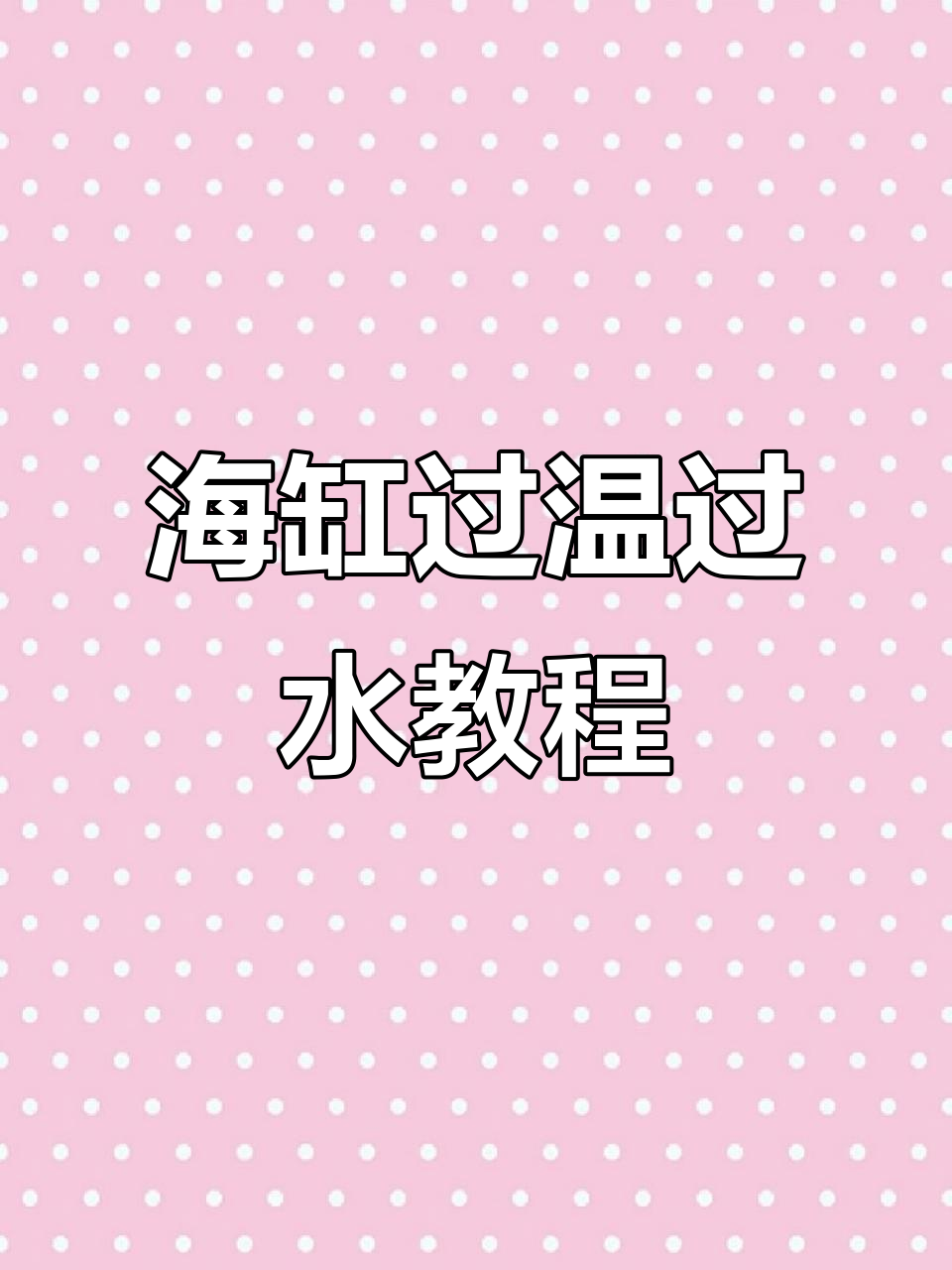 新手必看!海缸过温过水全攻略,轻松解决黄狐狸白点问题
