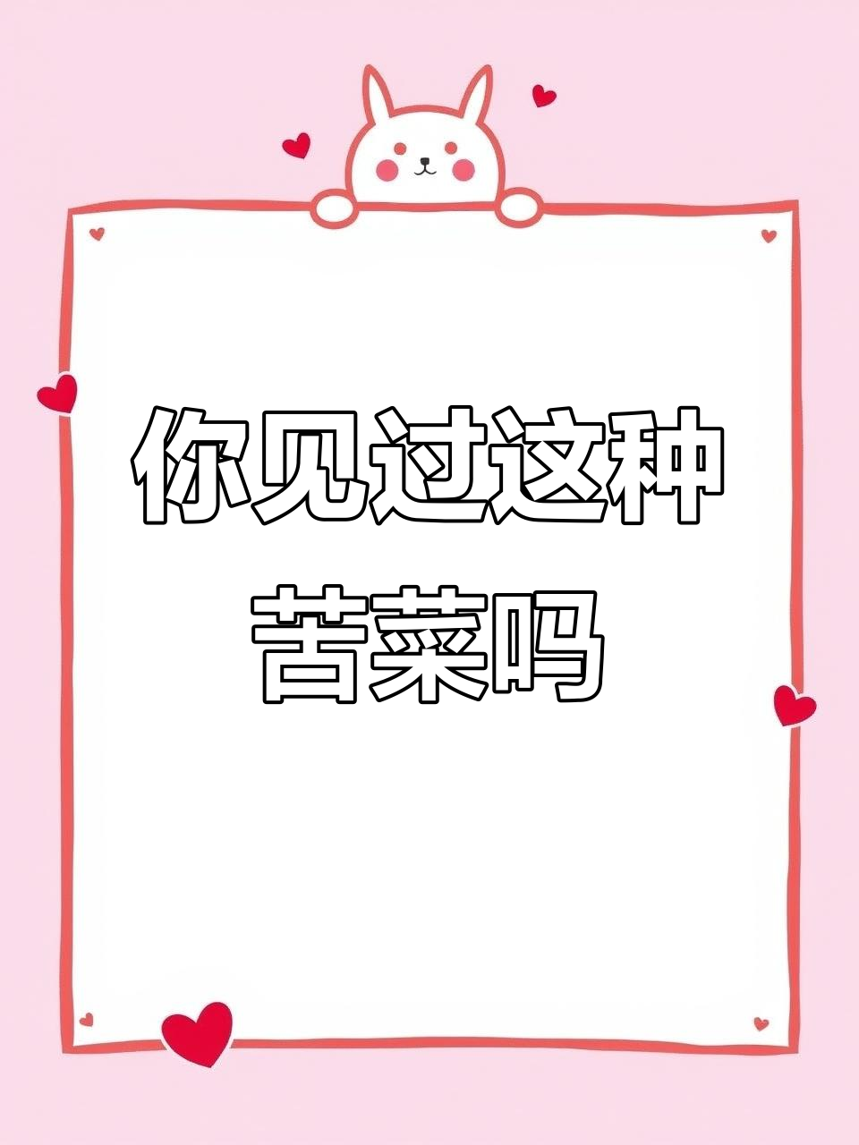 农村常见苦菜,你吃过吗?了解它的价值和分布