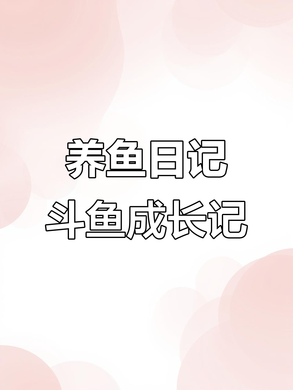4个月养鱼日记,普宁斗鱼的成长与心路历程