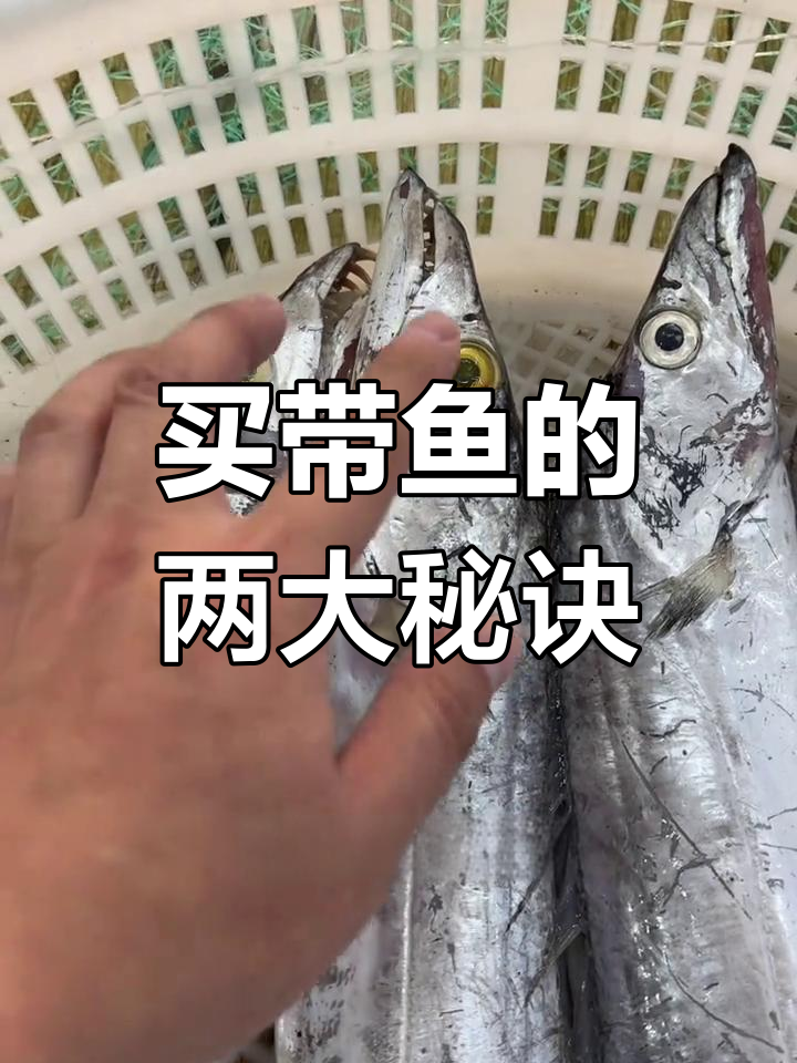 如何挑选优质带鱼?看这两点!