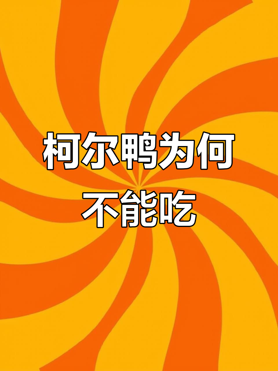 柯尔鸭为什么不吃?揭秘它的“宠物”身份