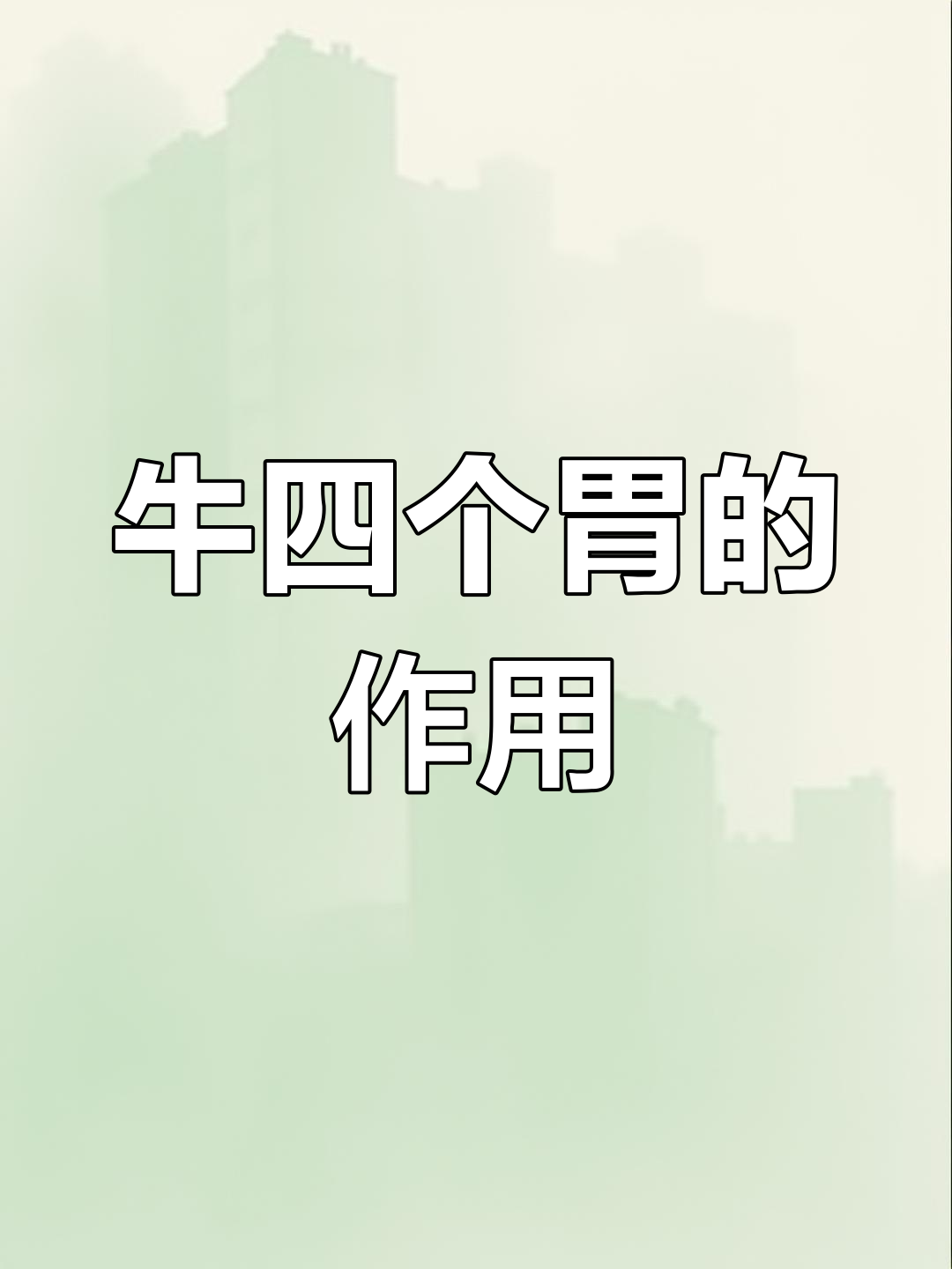 牛胃的解剖结构与功能解析