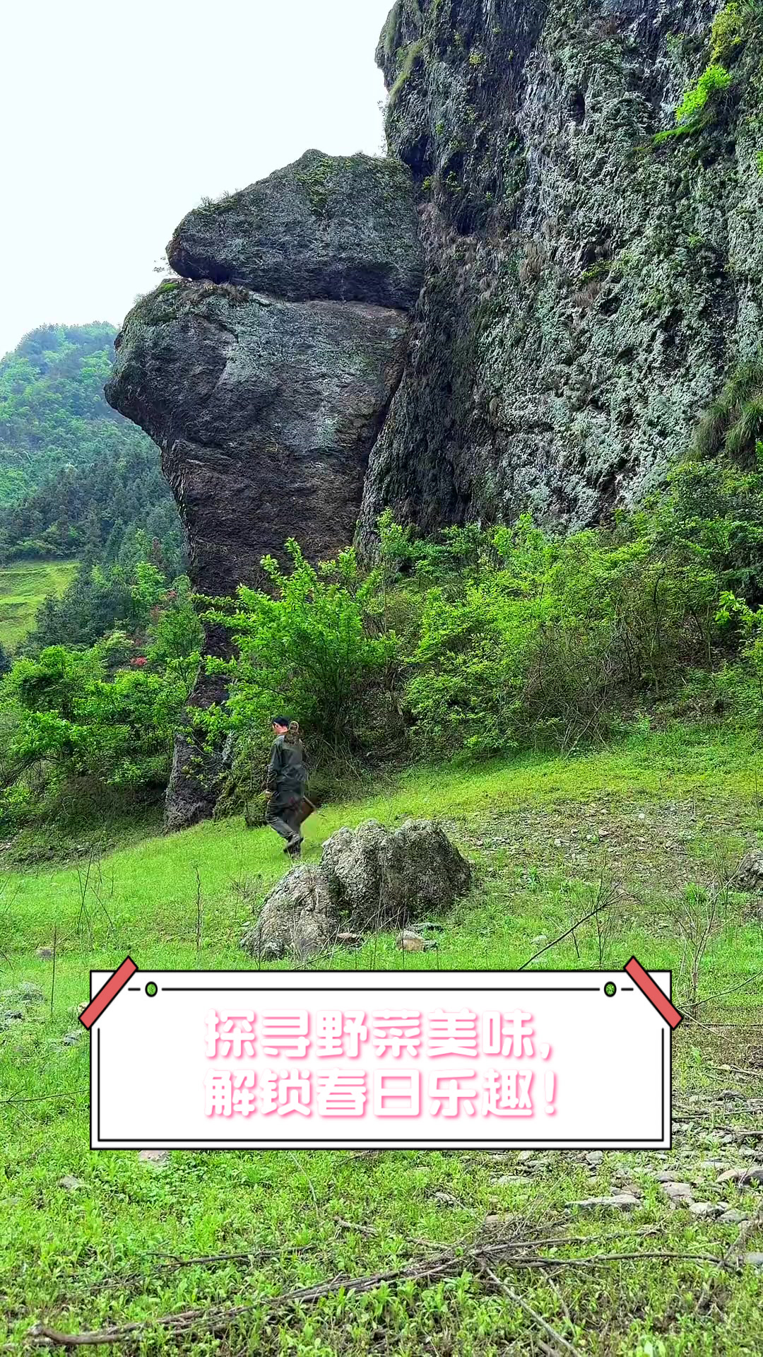 探寻野菜美味,解锁春日乐趣!