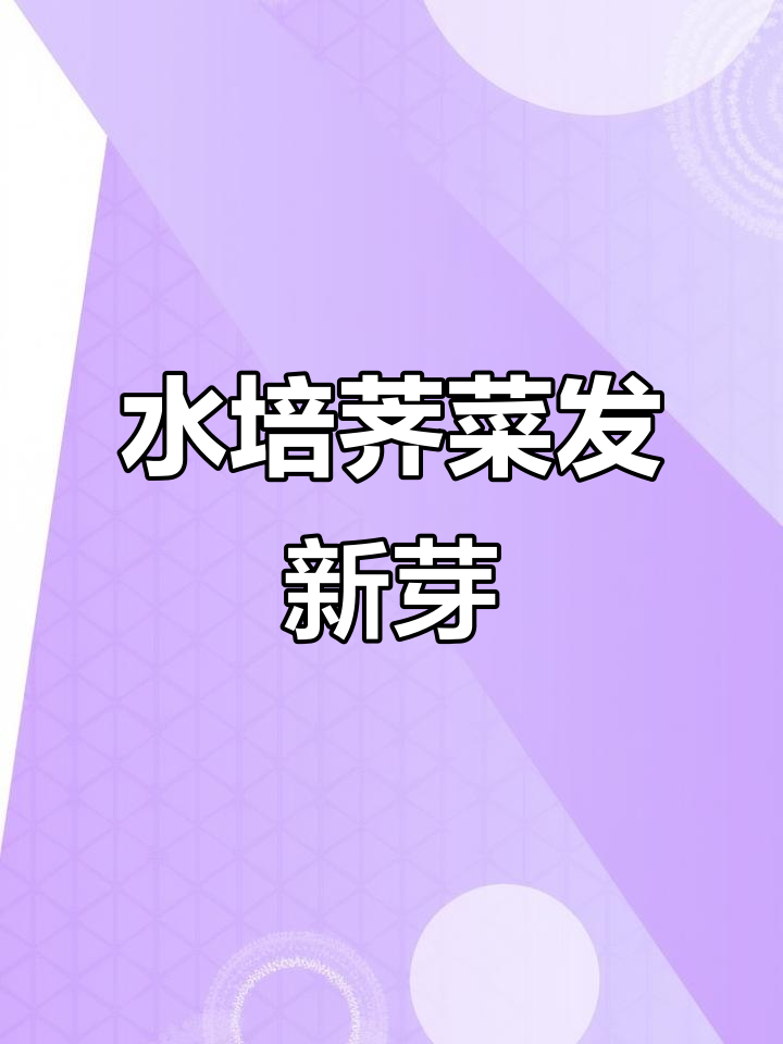 荠菜发芽了,水培种植超简单