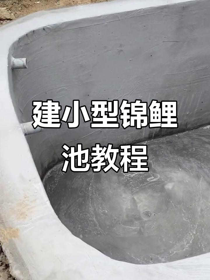小型锦鲤池建造全攻略,智能过滤轻松搞定