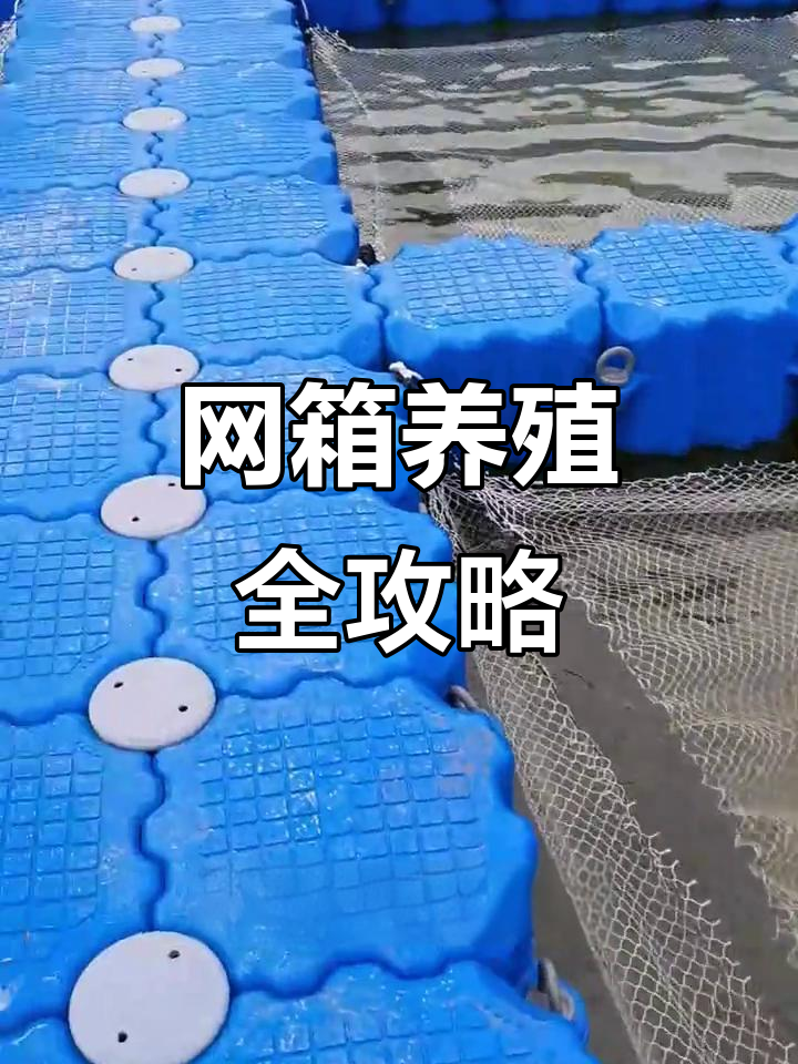 网箱养殖全解析:定制、搭建与设备批发一站式服务