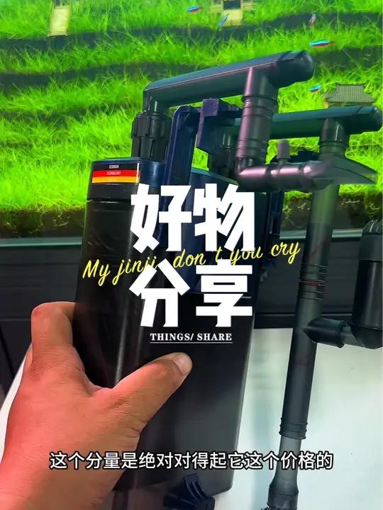 壁挂过滤的天花板安彩为啥这么猛、拆机看下内在 水族 鱼缸里的大自然 养鱼日记 开缸