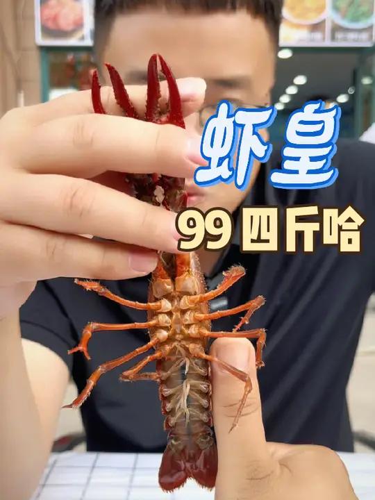 兰考老乡,虾皇给大家送福利啦!99元四斤的招牌潜江油焖大虾、蒜蓉大虾,龙虾规格中青567钱