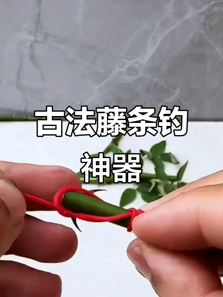 姜太公钓鱼的秘密：藤条鱼钩的历史与制作方法