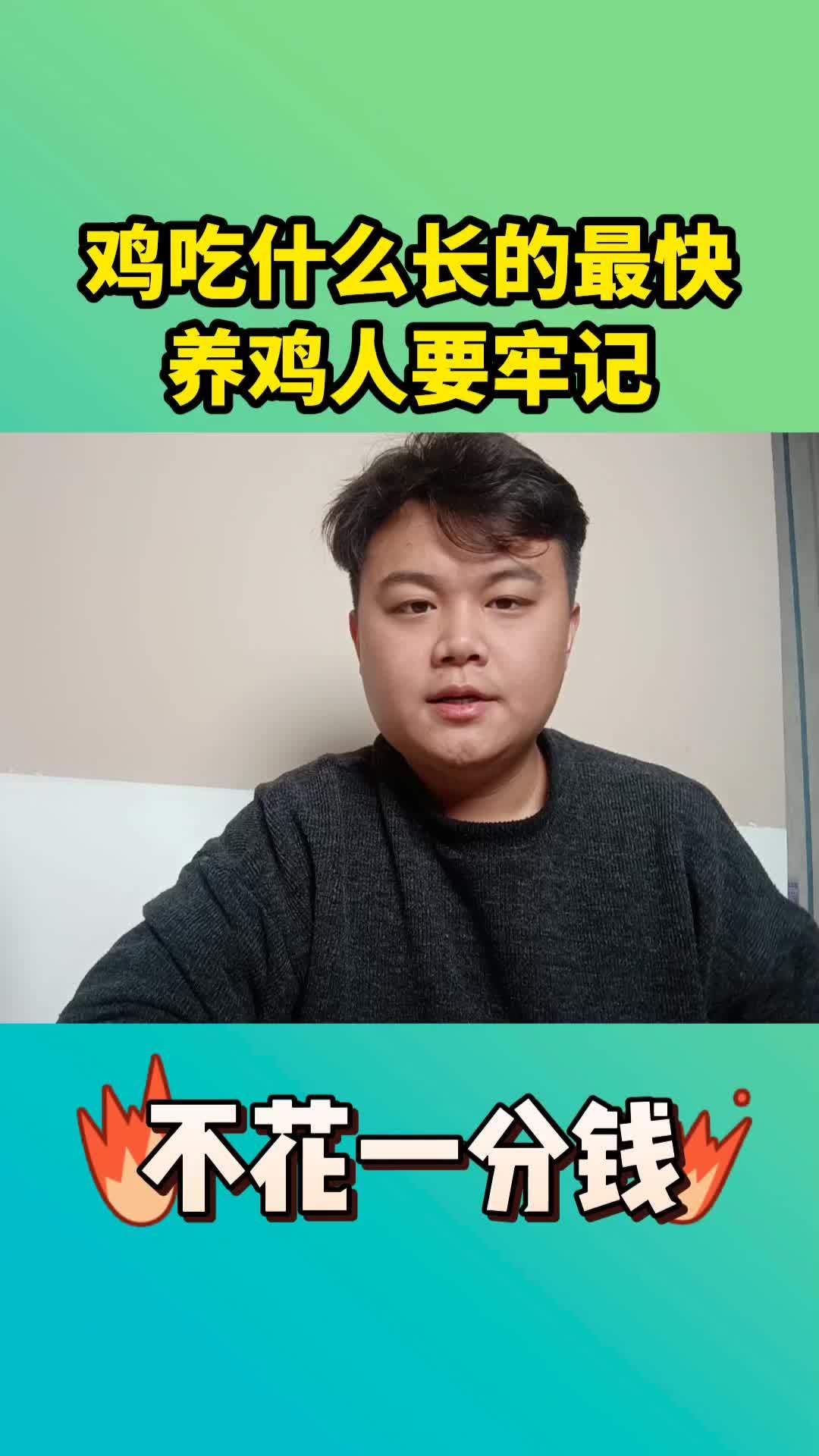 农村散养土鸡 养鸡 生态散养土鸡 肉鸡养殖 散养土鸡
