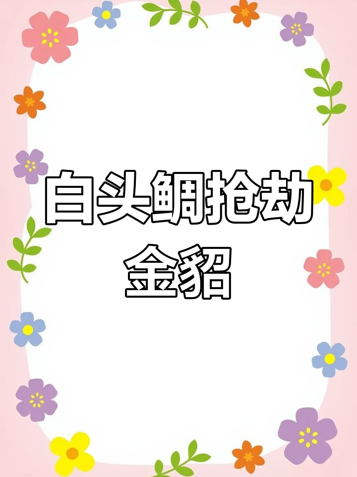 金雕被白头鲷抢鱼,空中激战一触即发