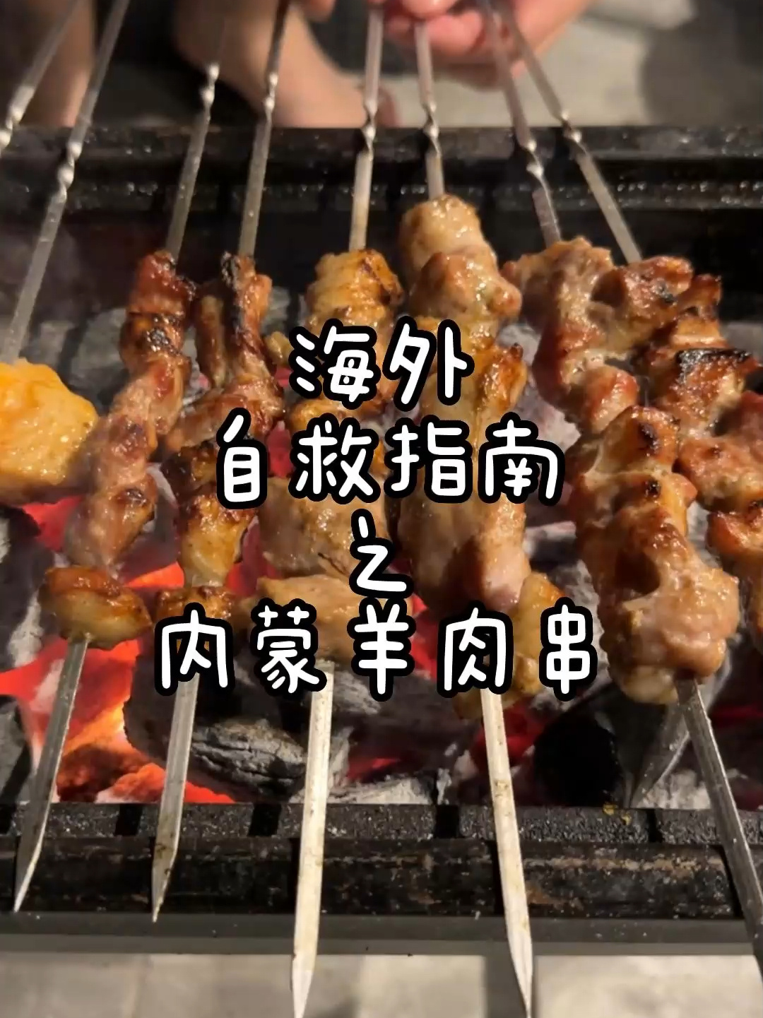 露营必备:烤羊肉串保姆教程