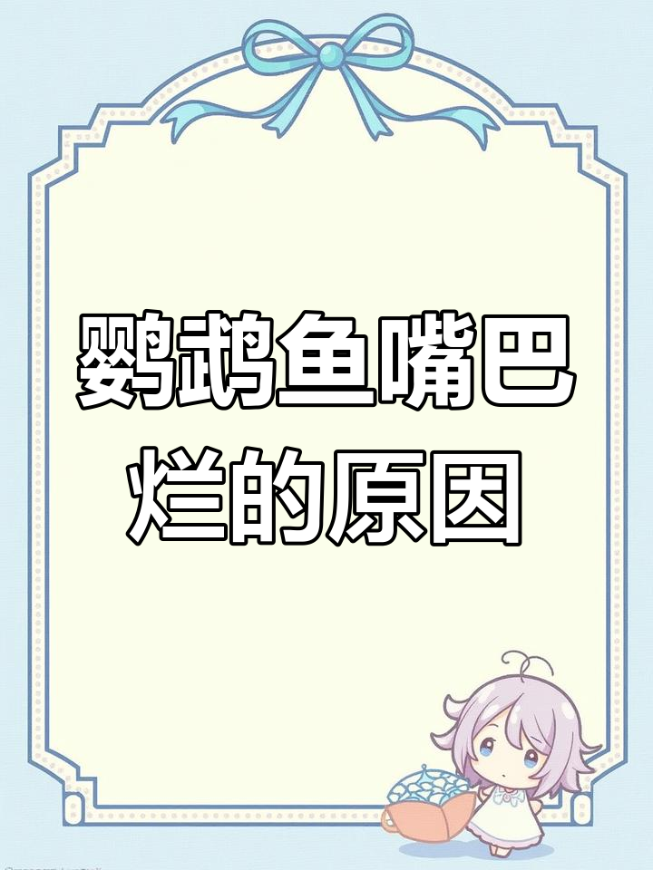 鹦鹉鱼嘴烂了怎么办?外伤、细菌或疾病原因分析