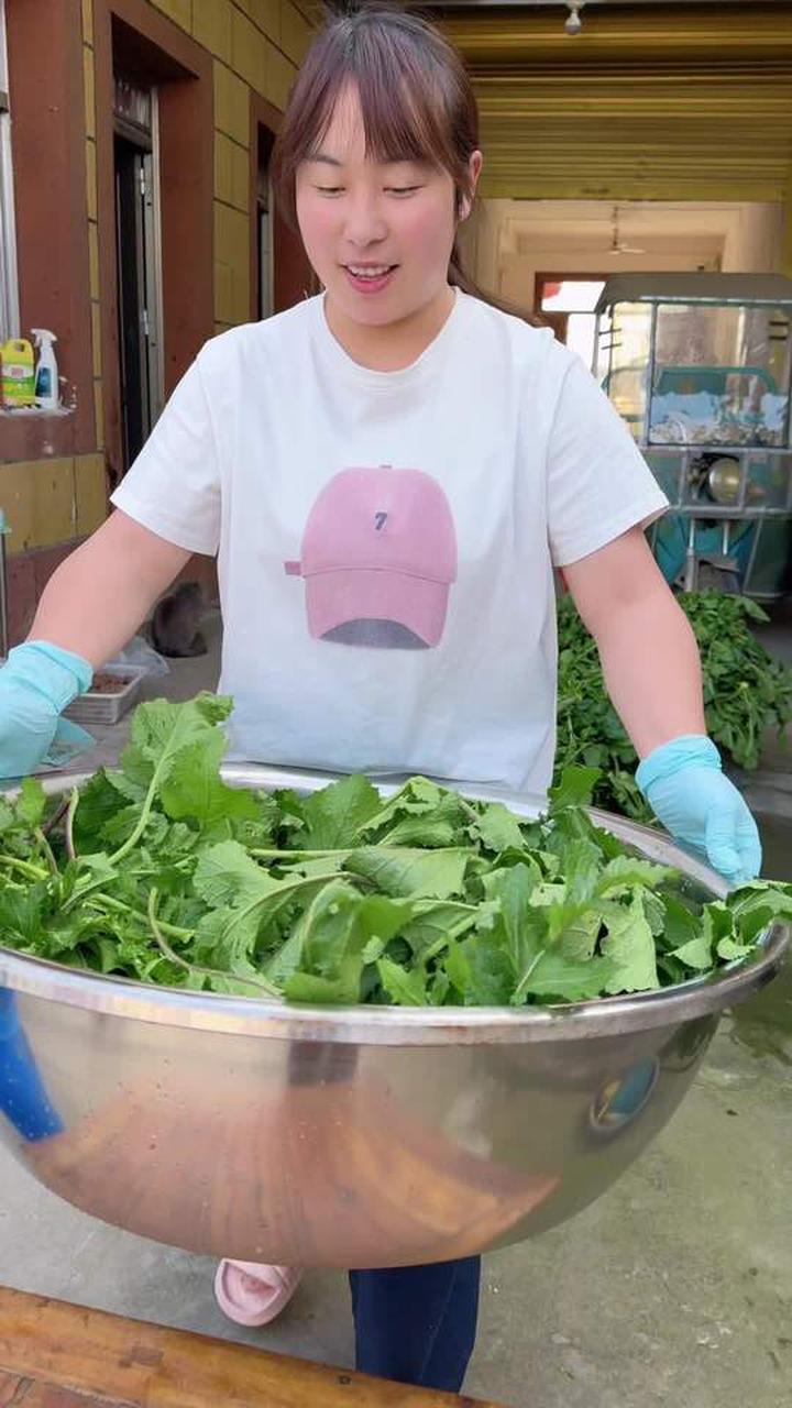 今天换种风格,腌喇菜,再过半个月就能吃到嘴了