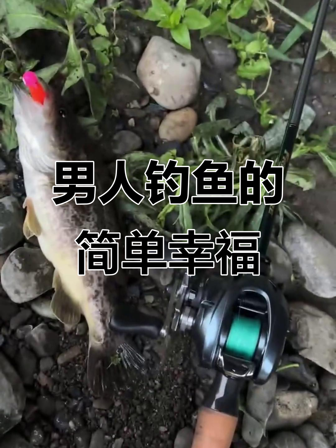 钓鱼才是男人的快乐,轻松享受休闲时光