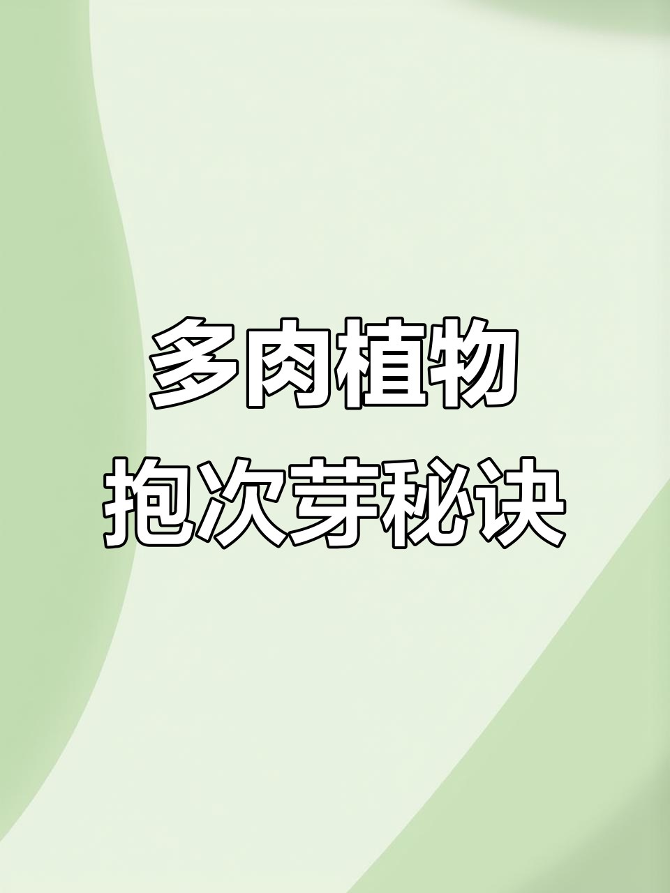 如何让多肉植物爆侧芽？学会这些小技巧，营养过剩有妙招
