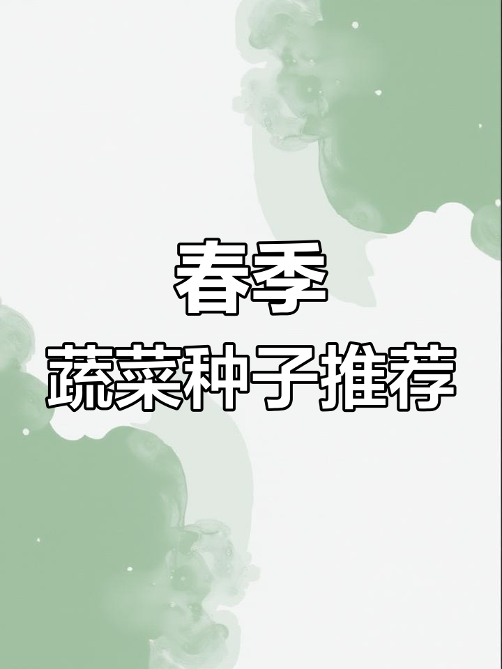春季蔬菜种子套餐大揭秘,两款选择满足不同需求